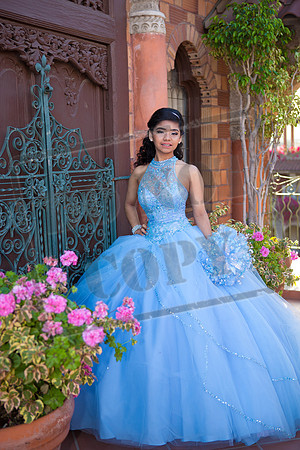 Daphne_Pre_0108