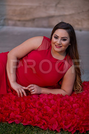 Lizette_and_Garrett_Pre_0094