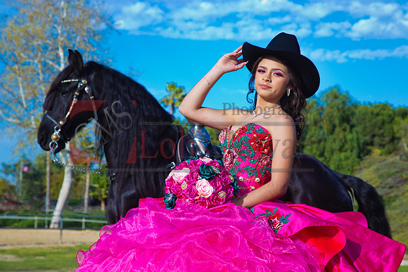 IMG_1782-Edit