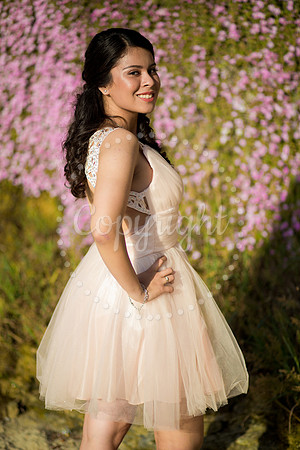 Ashley_Pre_077