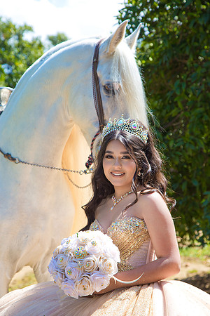 IMG_1401-Edit