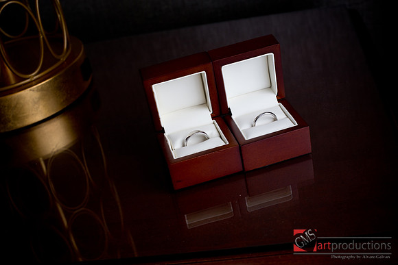 Hanna_and_Tony_event_0025