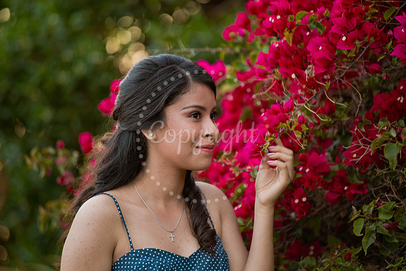 Ashley_Pre_156