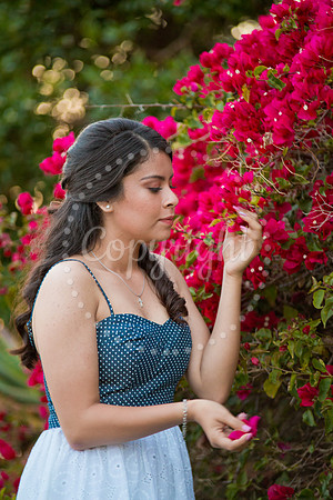 Ashley_Pre_158