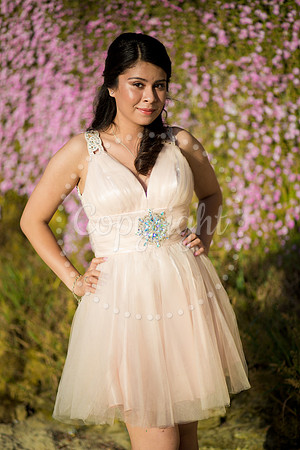 Ashley_Pre_076