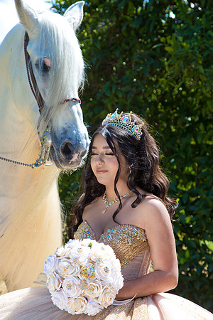 IMG_1406-Edit