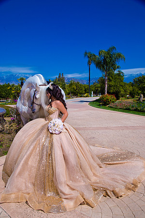 IMG_1372