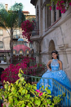 Daphne_Pre_0227