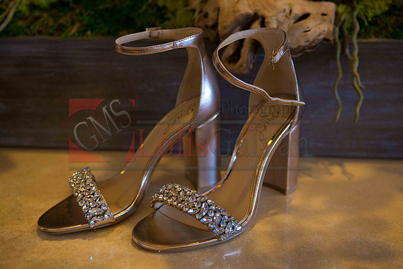 Weslie & Marissa Wedding _0031