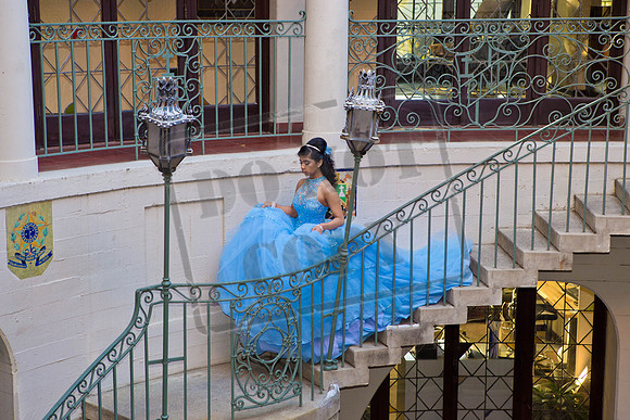 Daphne_Pre_0168