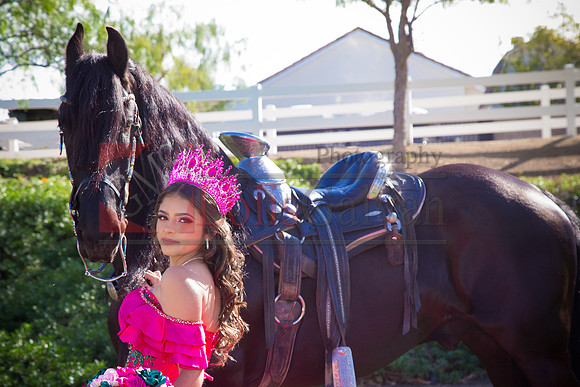 IMG_1544-Edit