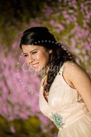 Ashley_Pre_083