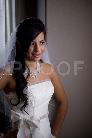 Liz_and_Michael_Event_0232