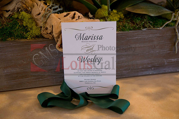 Weslie & Marissa Wedding _0024