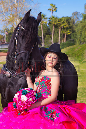 IMG_1761-Edit