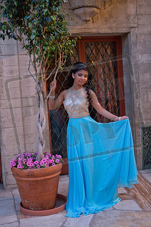 Daphne_Pre_0260