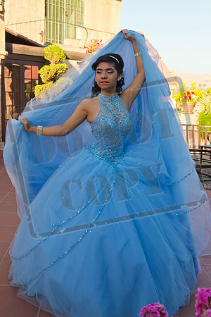 Daphne_Pre_0083