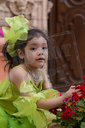 Daphne_Pre_0064