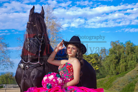 IMG_1774-Edit-Edit