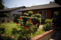 Rosy_Event_0002