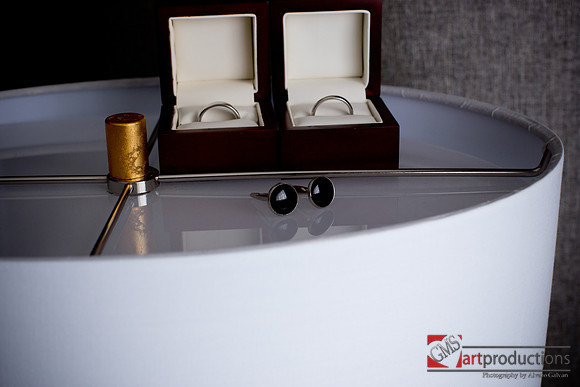 Hanna_and_Tony_event_0031