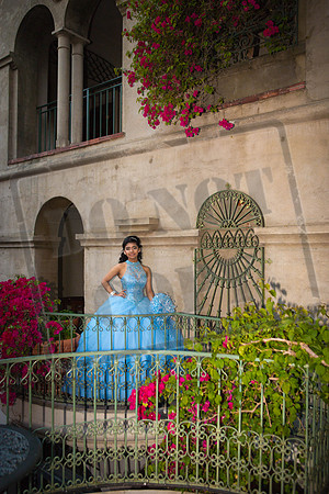 Daphne_Pre_0226
