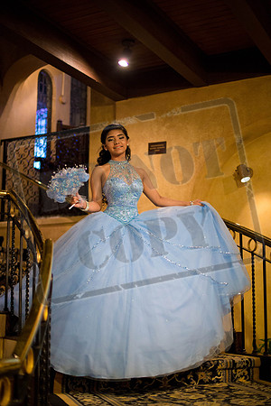 Daphne_Pre_0236