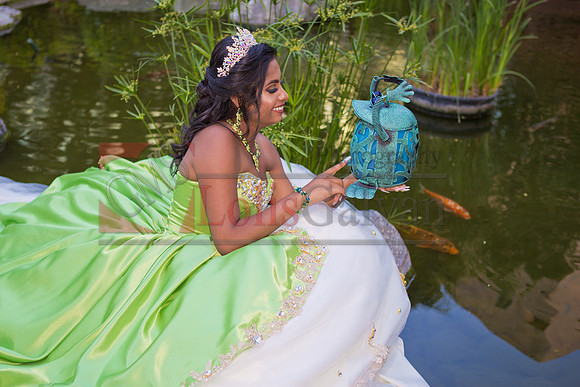 IMG_5516