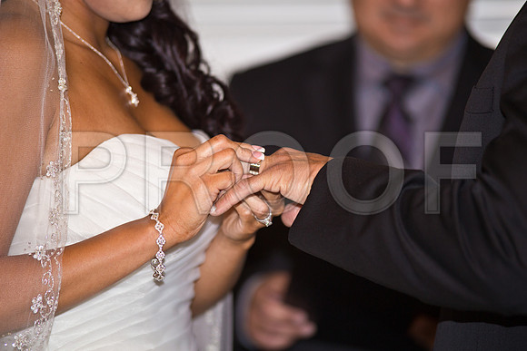 Stella_and_Frank_Event_0189