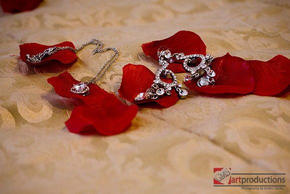 Mayra_y_Carlos_Event_0013