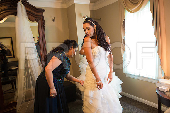 Stella_and_Frank_Event_0071
