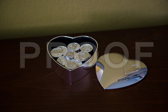 Paula_and_Cesar_Event_0023