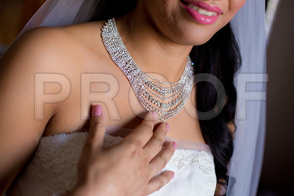 Liz_and_Michael_Event_0179