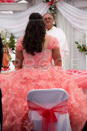 Leslie_event_119