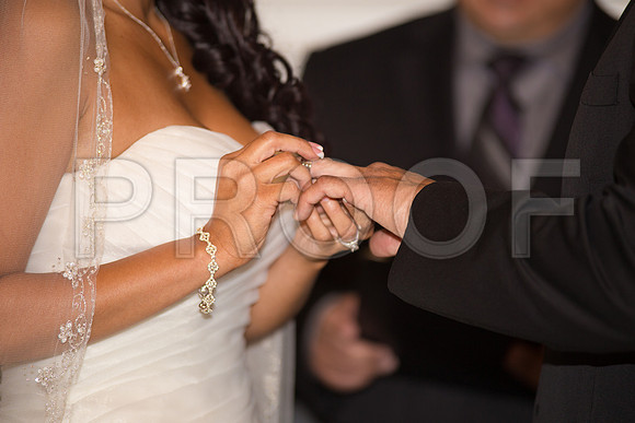 Stella_and_Frank_Event_0186
