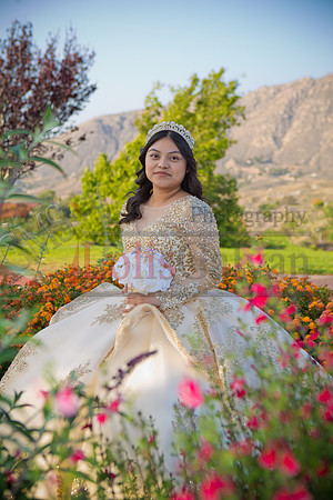 IMG_7396-Edit