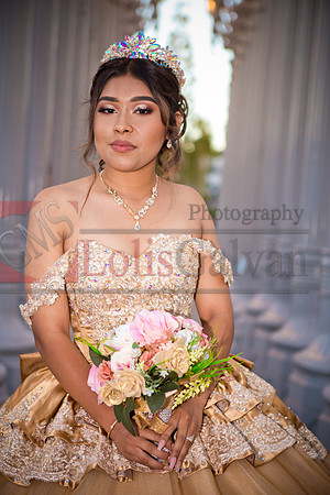 IMG_0239