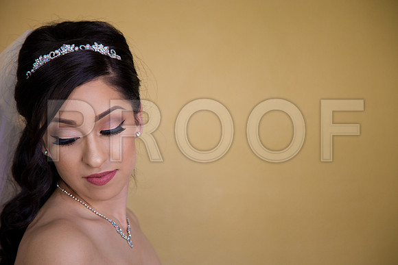 Paula_and_Cesar_Event_0060