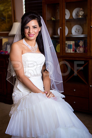 Liz_and_Michael_Event_0192