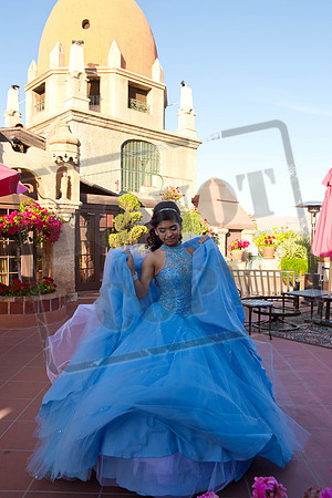 Daphne_Pre_0087