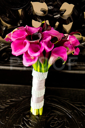 Stella_and_Frank_Event_0055