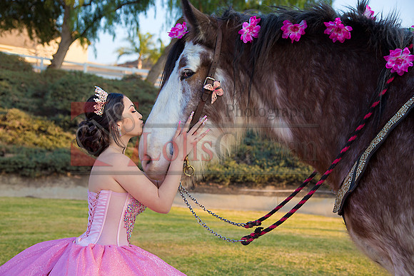 IMG_0027-Edit-Edit