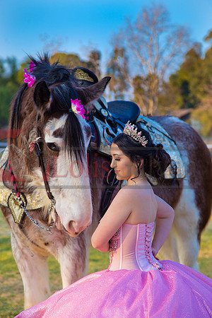IMG_0065-Edit