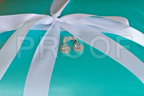 Candace_event_0041-1