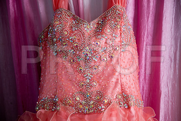 Leslie_event_028
