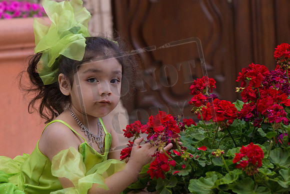 Daphne_Pre_0063
