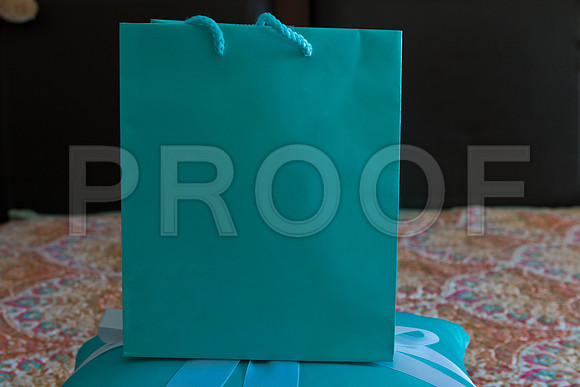 Candace_event_0031-1