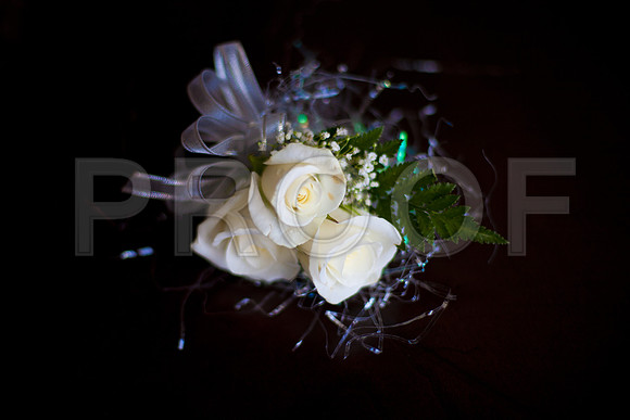 Stephanie_event_0066