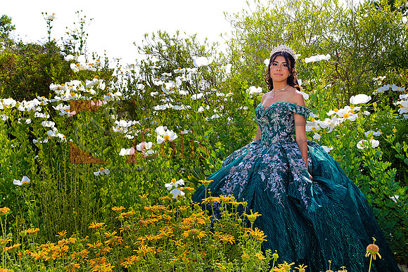 IMG_6979-Edit