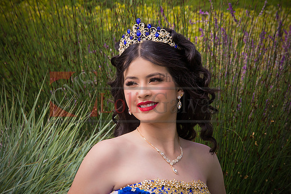 IMG_5440-Edit-Edit